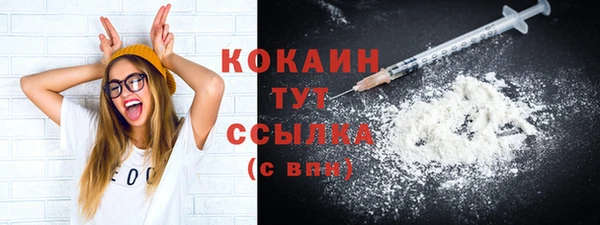 шишки Волоколамск