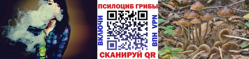 Купить закладки  Майкоп  Псилоцибиновые грибы MAGIC MUSHROOMS 